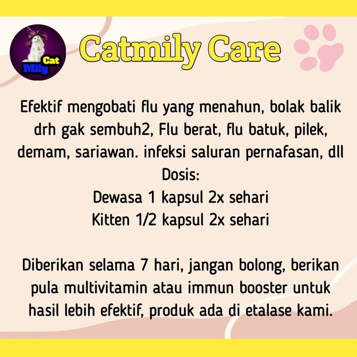 OBAT FLU KUCING AMPUH