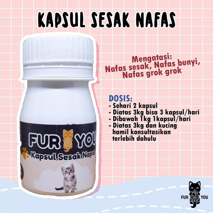 KAPSUL KUCING SESAK NAFAS