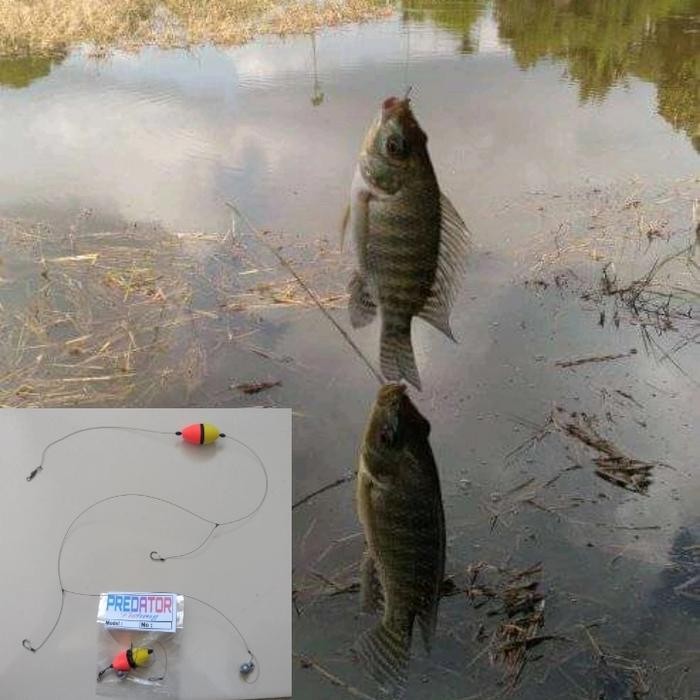 Rangkaian pancing nila/mas/mujair dll