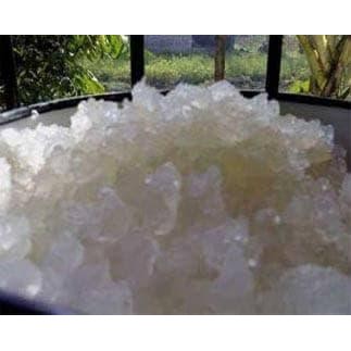Terlaris Kristal Alga Jepang / Bibit Water Kefir 100Gram