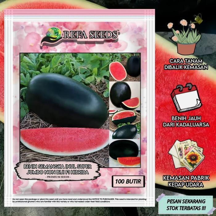 Terlaris 1 Pack (100 Butir) Benih Semangka Inul Jumbo Hibrida Non Biji F1 Kemasan Original