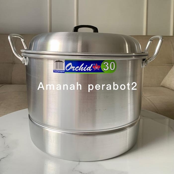 PANCI ORCHID ORI LANGSENG PANCI DANDANG ORCHID ORIGINAL PANCI TINGGU ORCHID