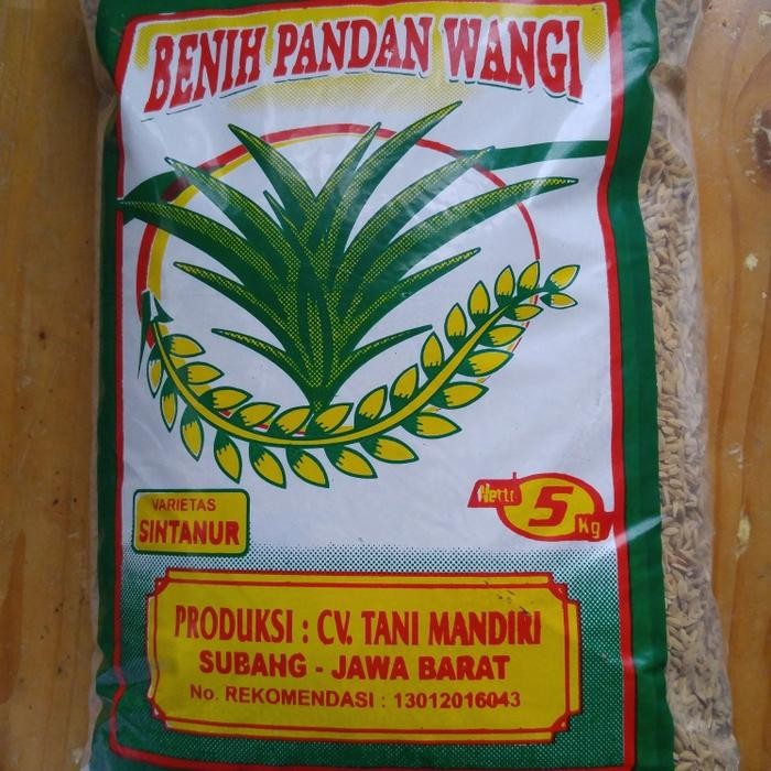 Benih Padi Pandan Wangi Varietas Sintanur Bersertifikat Label Ungu *