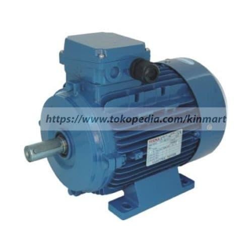 ELEKTRIK MOTOR YUEMA SA 0.5HP 2P B3 3PHASE