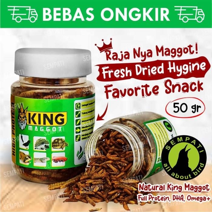 KING MAGGOT DRY MAGOT KERING PAKAN IKAN ARWANA CHANNA OSKAR KOI MGTSM