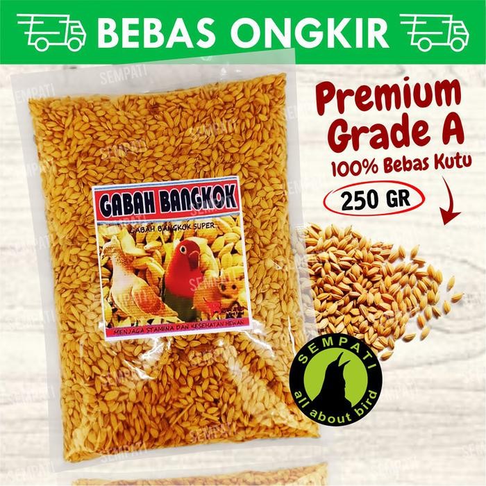 GABAH BANGKOK PAKAN BURUNG MERPATI PERKUTUT DARA LOVEBIRD HAMSTER GBB