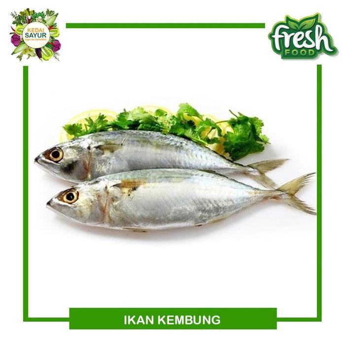 

Ikan Kembung Banjar - Ikan Laut Segar Depok