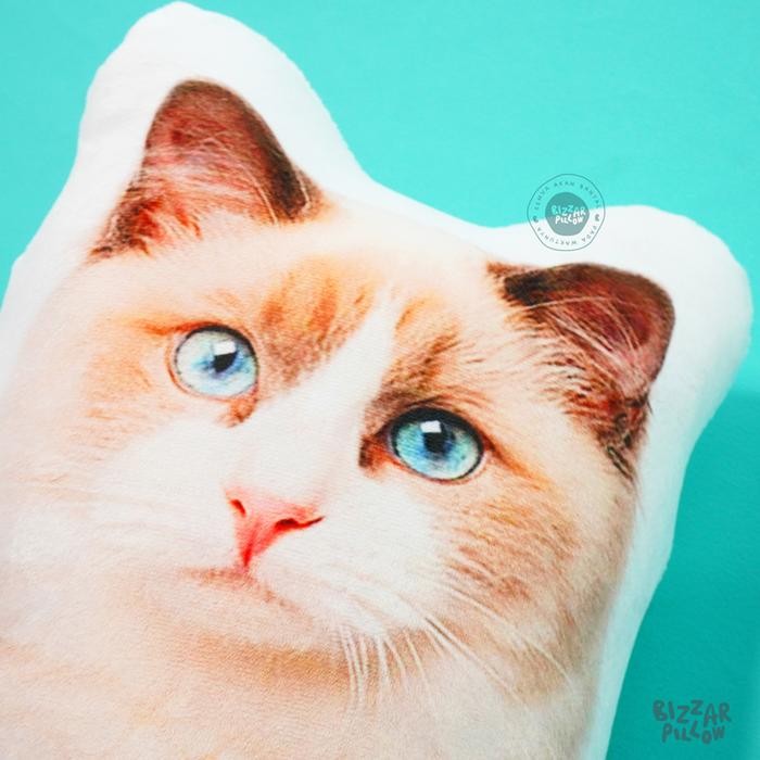 Bantal Anabul Custom Anjing / Kucing Size L
