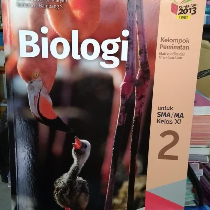 

Ready BIOLOGI 2 UNTUK SMA/MA KELAS XI K13N ERLANGGA