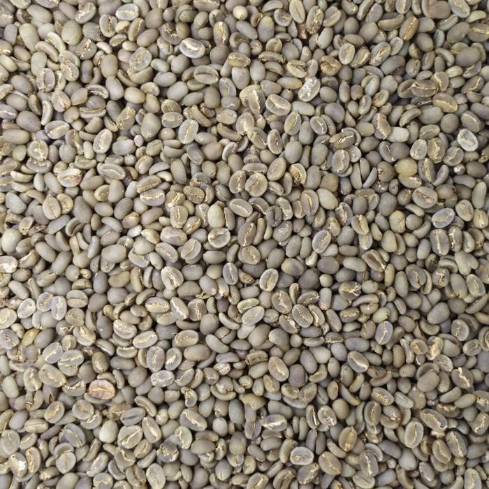 

GREEN BEAN KOPI MENTAH ARABIKA TORAJA ENREKANG SEMI WASH GRADE 1 - 1KG
