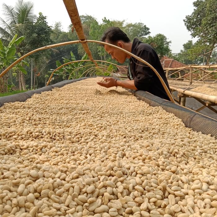 

GREEN BEAN/ BIJI KOPI ARABIKA JAVA CIWIDEY FULL WASH/GREENBEAN DRYHULL