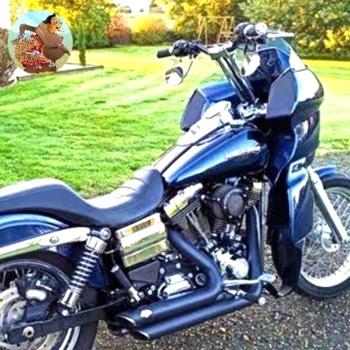 Terlaris Chrome Riser Stang Harley Sportster Dyna Softail