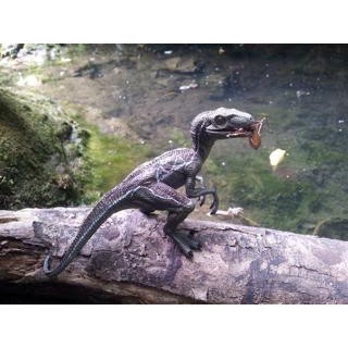 Papo Velociraptor