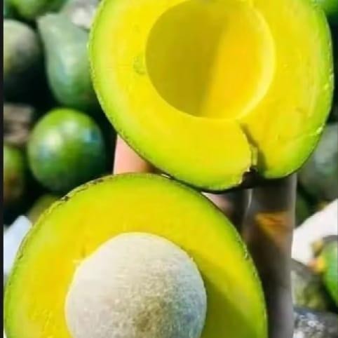 

New Camilan Kering Alpukat Mentega Kuning 1kg Isi 3-4 Biji Kualitas Super - Food, Snacks