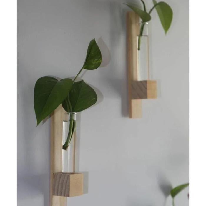 Vas Kaca Transparan Mini Tempel Dinding Tanaman Hidroponik Mini