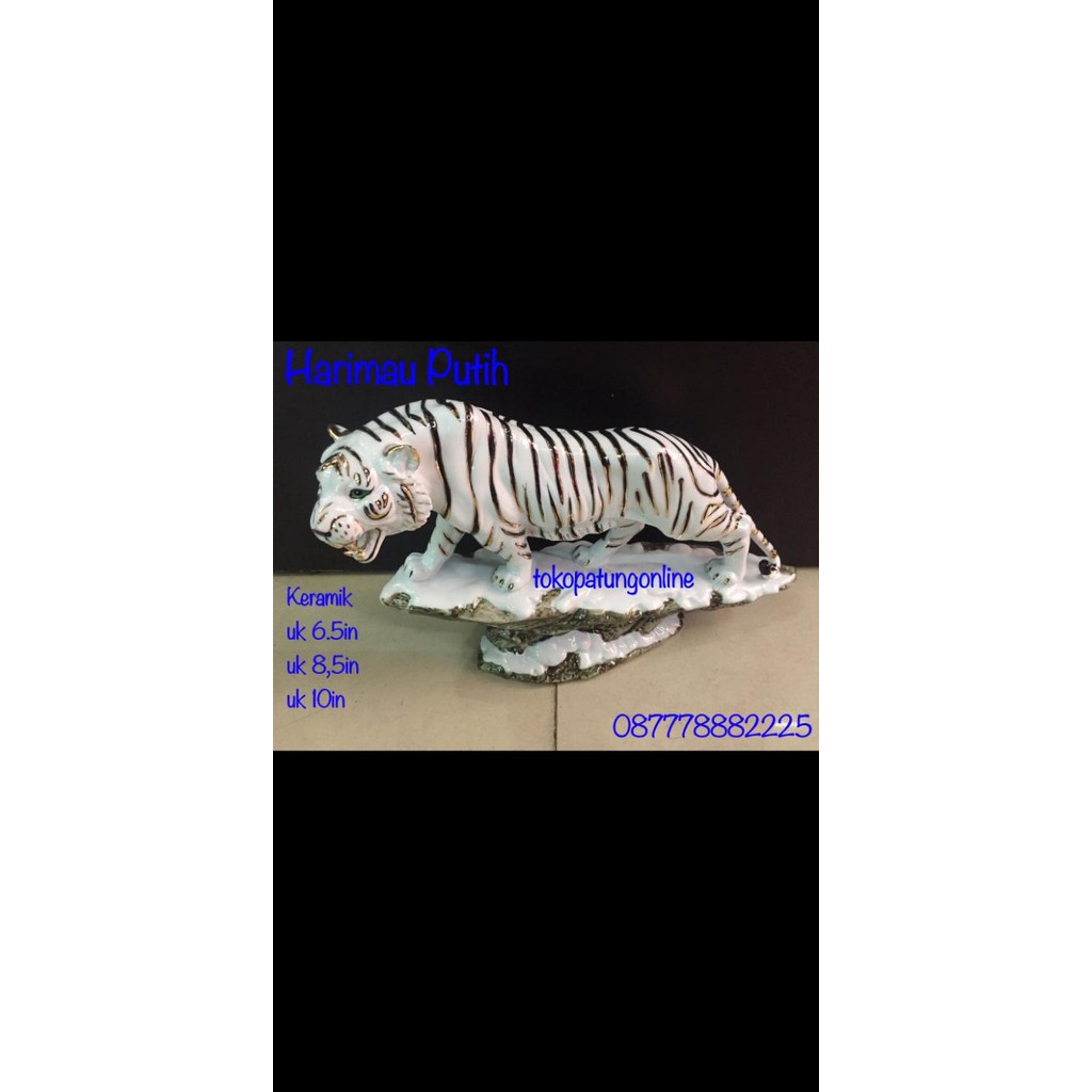 Patung Harimau Putih Keramik Uk 6.5in