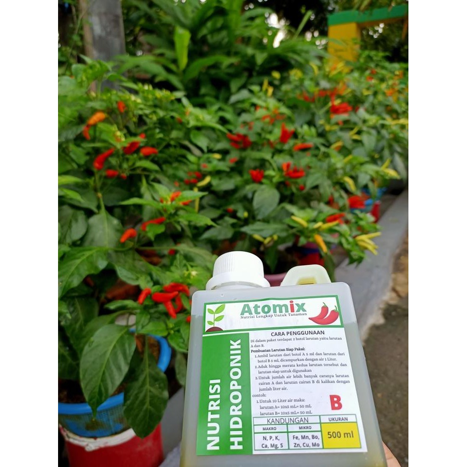 Atomix Nutrisi Hidroponik Mikro o Lengkap Pupuk Cair Sayuran & Buah Penyubur & Pelebat Tanaman AB