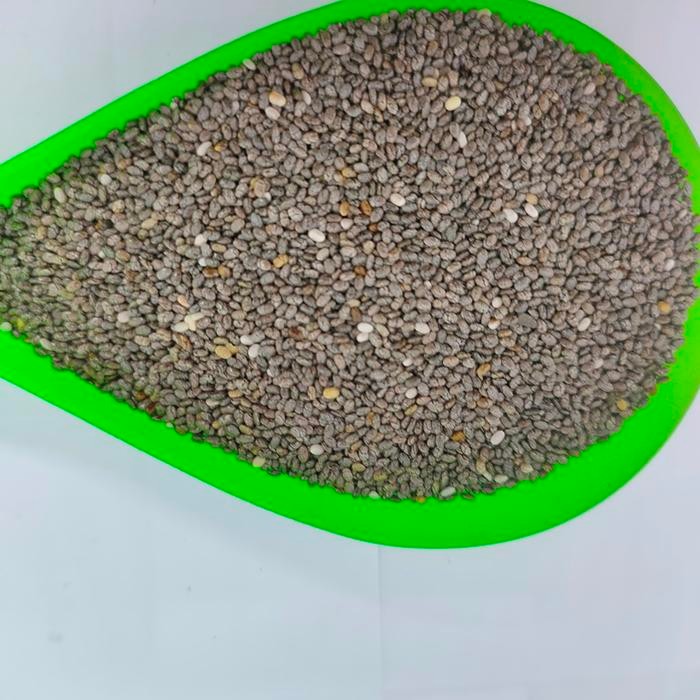

3 Kg Biji Chia Hitam Organik I Organic Black Chia Seeds