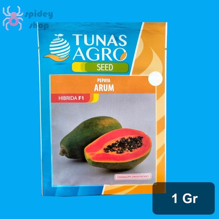 Benih Pepaya Arum isi 60 Butir Pepaya Hawai Madu Pepaya California