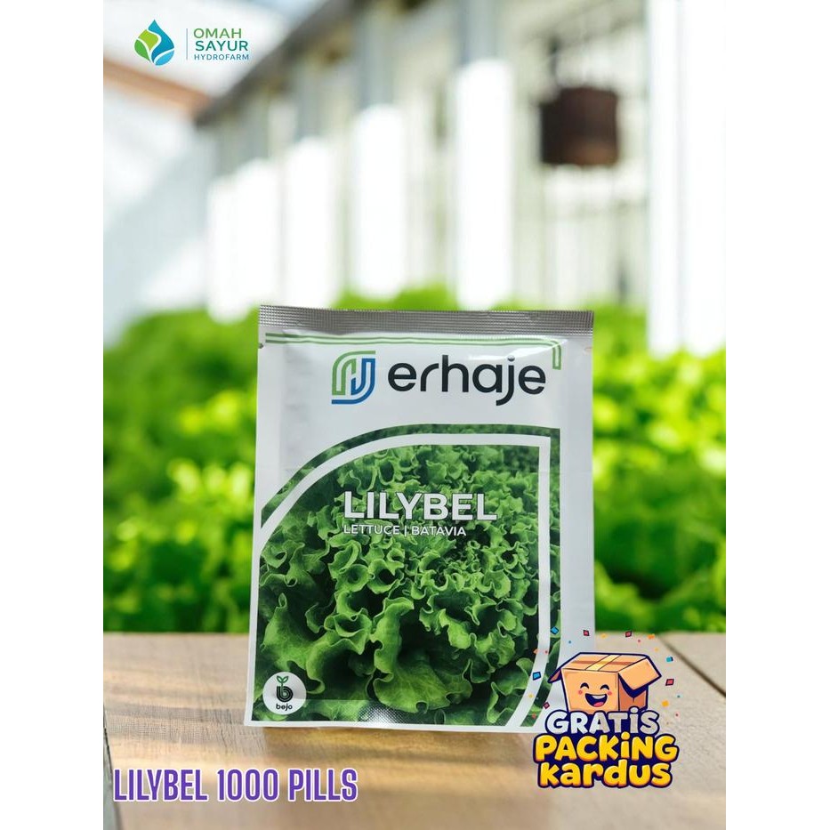 [1000 Pills] Benih Selada Bejo LILYBEL Benih Lettuce Batavia By Bejo Seeds