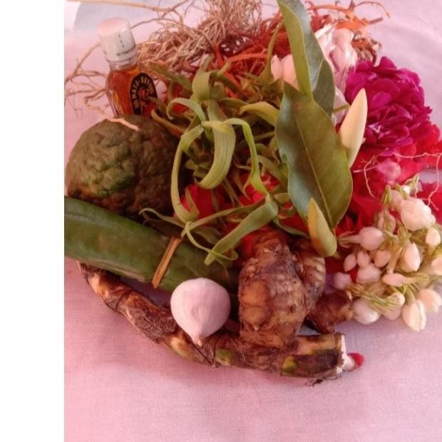 kembang macan kerah komplit