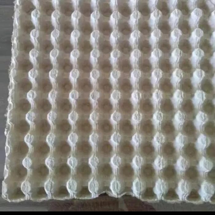 tray telur puyuh per ball