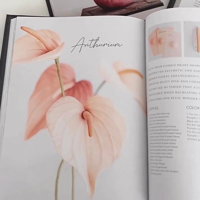 

TERUJI The Art of Modern Cake Recipe Book Kode 1424
