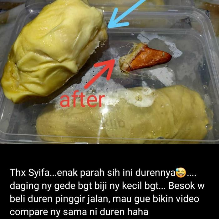 

Glx DURIAN MONTONG CANNE 500 GRAM