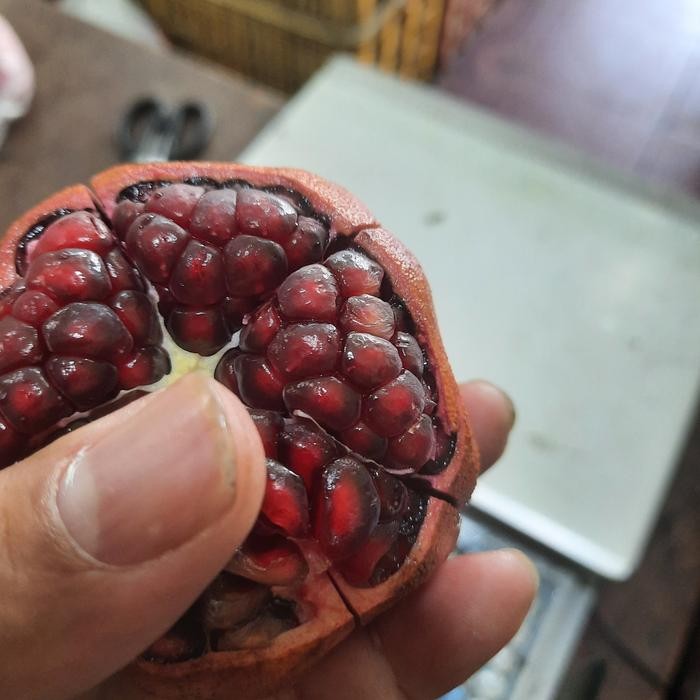 

Glx Delima merah 1 buah