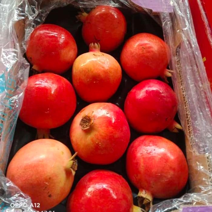 

Glx buah delima merah super manis