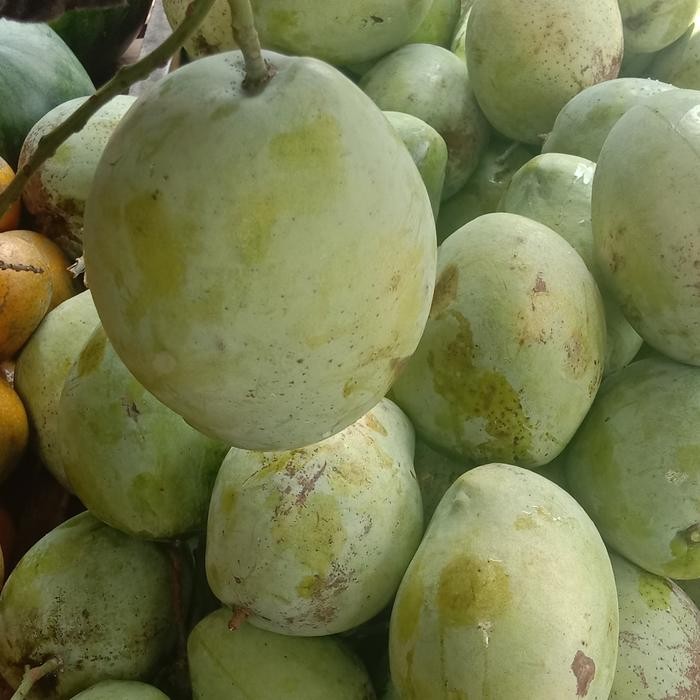 

Glx mangga indramayu super 1kg