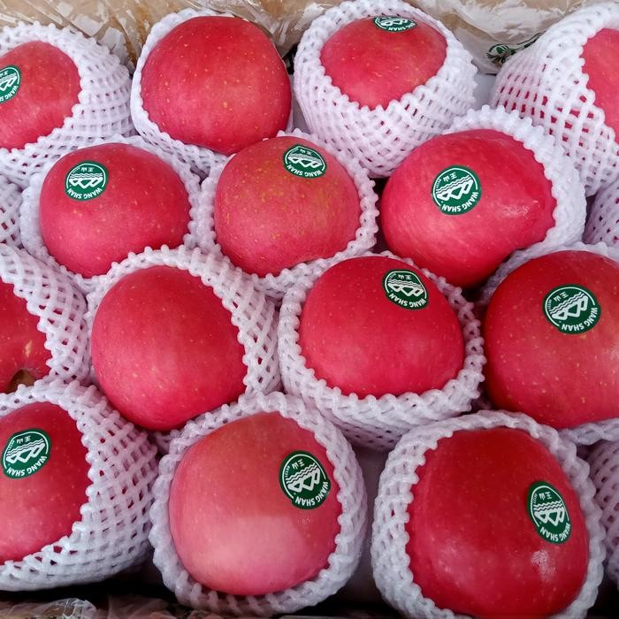 

Glx BUAH APEL WANG SHAN PREMIUM 1 KG