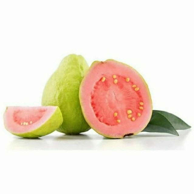 

Glx Jambu Biji Merah