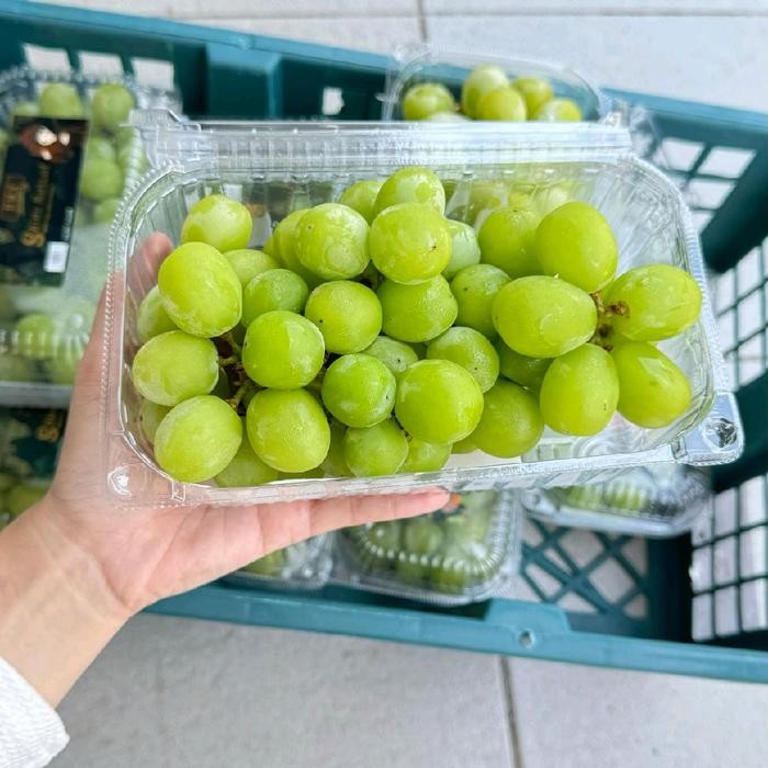 

Glx Anggur Muscat - (500 GRAM)