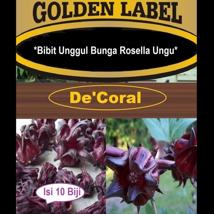 Bibit Unggul Bunga Rosella Ungu Benih Bunga Rosella Ungu