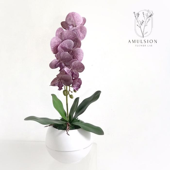 Bunga Anggrek Artificial Premium Import Latex Set dengan Pot Bola