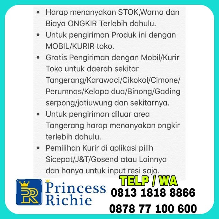 Mesin cuci Sanken 2 Tabung TW 8800