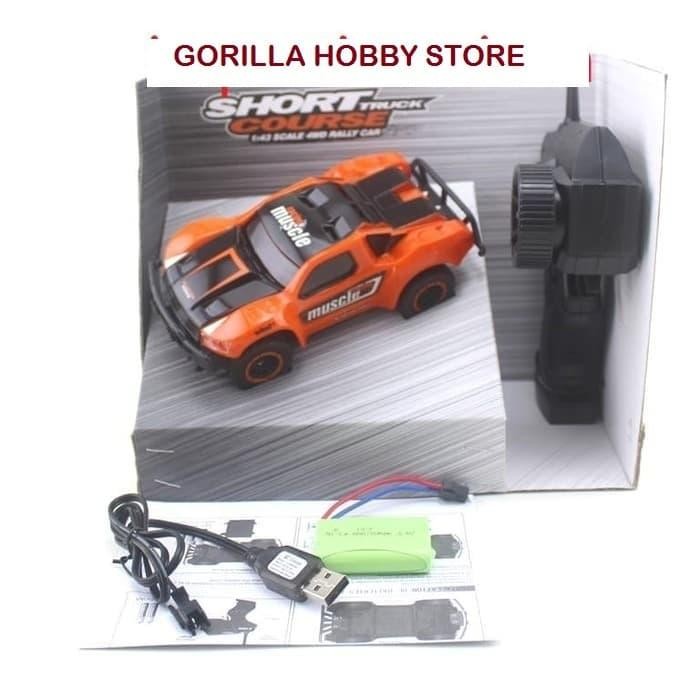 rc mini car short course truck HUANGBO DK4301 2.4ghz RTR mobil remote