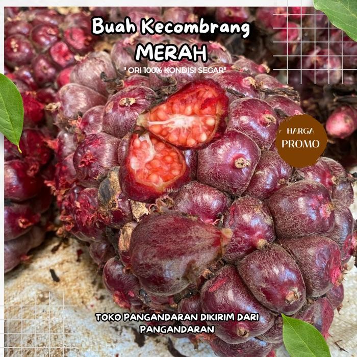 

[Fresh] BUAH HONJE SEGAR BUKAN JUS HONJE