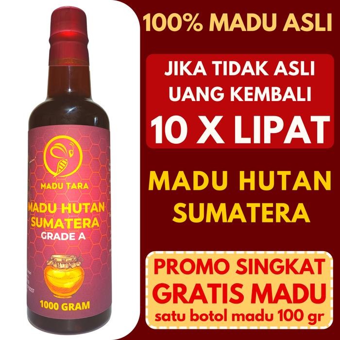

Sale Madu Hutan Sumatera Madu Asli Madu Mentah Murni Raw Honey Madu Tara