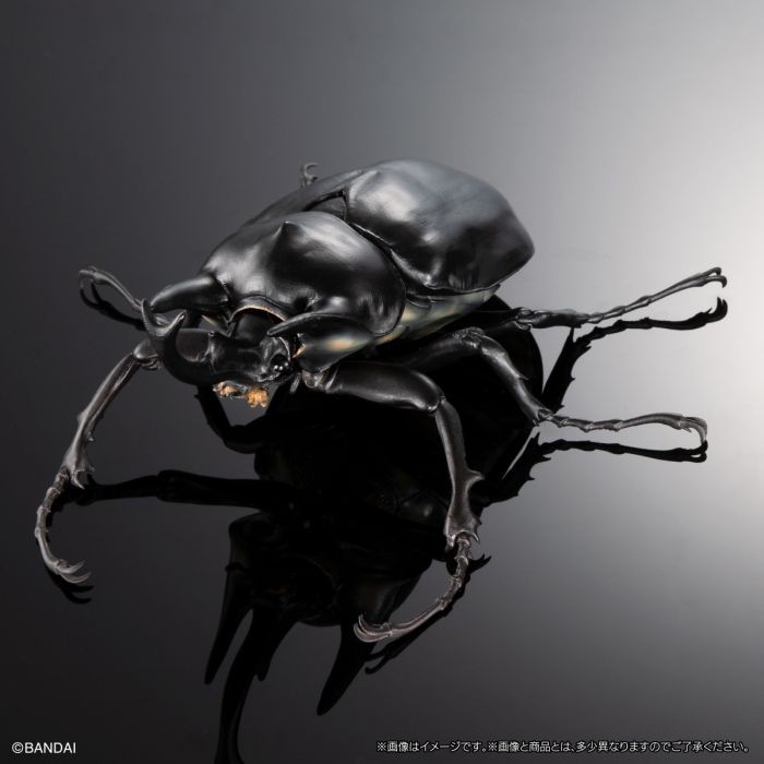 ikimono figure kumbang gajah badak elephant Beetle bandai gashapon gacha capsule toy premium - Hitam