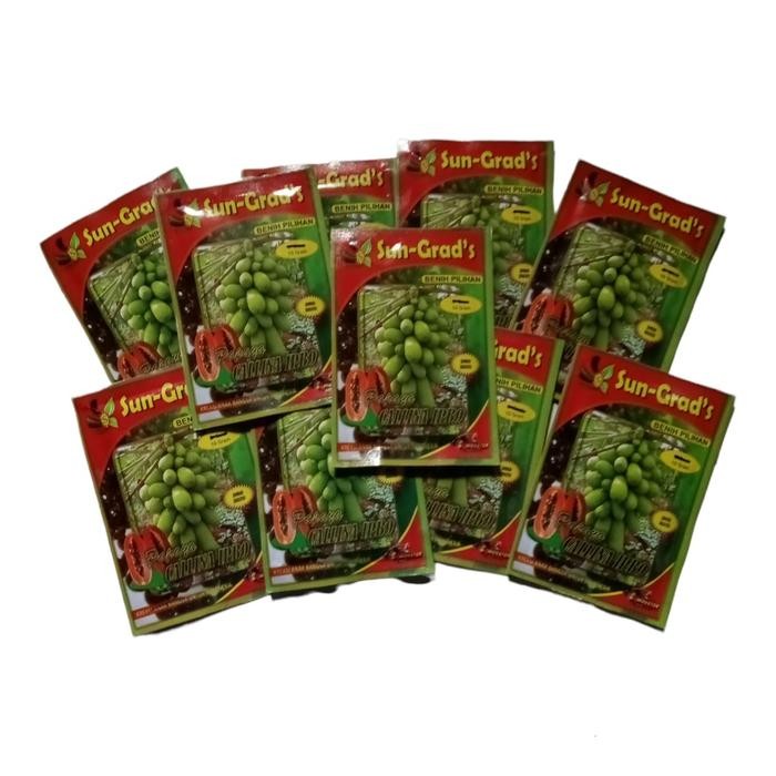 BENIH PEPAYA CALINA IPB9 10 GRAM BIBIT PEPAYA CALIFORNIA KATES CALIFORNIA - BUNGA