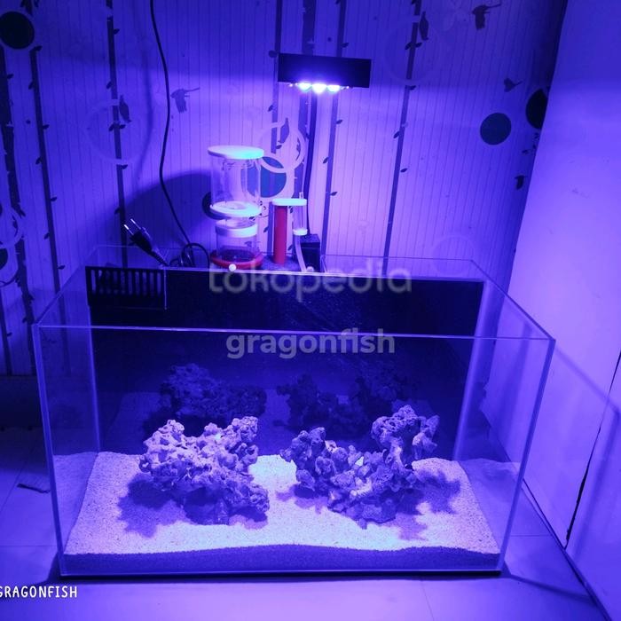 AQUARIUM OPTIC CLEAR FULLSET