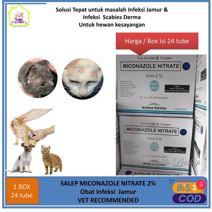 READY Salep Jamur Kucing obat Gatal Jamur Kulit Box 24 tube MICONAZOLE NEW