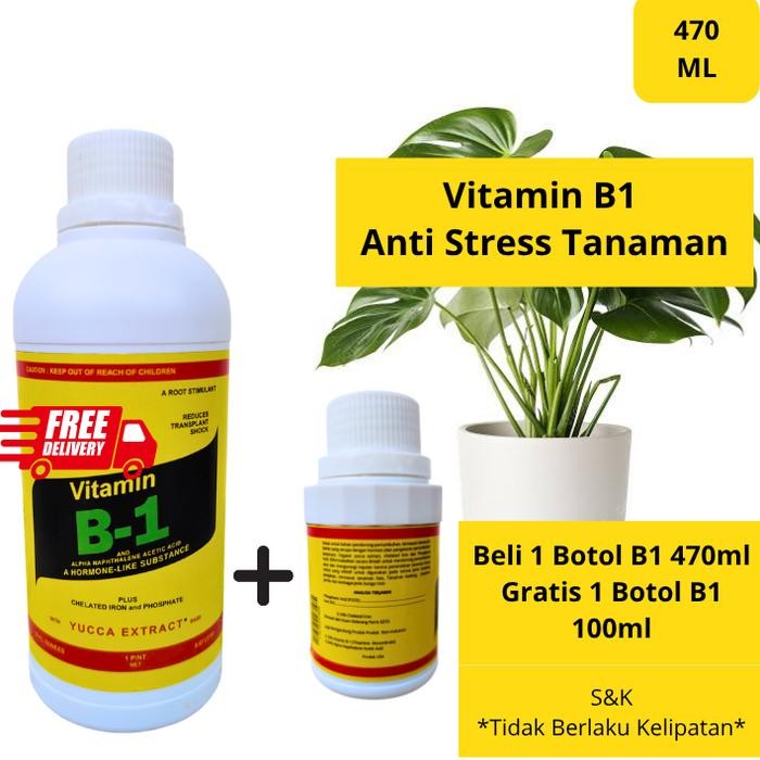 Vitamin B1 Tanaman 470ml/Pupuk Aglonema/Tanaman Hias/Buah / Vitamin B1untukTanaman