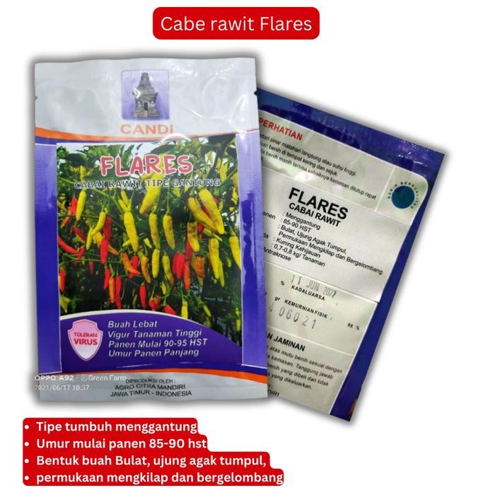 Bibit Cabe Flares 10 Gr Cabe Rawit Flares yg Lagi Viral Cap Candi