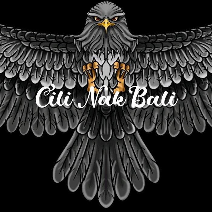 Layangan Burung Elang Bali Print 1,7Meter Kode 1009