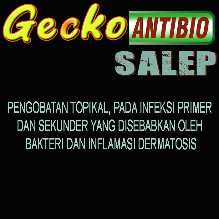 Gecko Antibio Salep Obat Leopard Geko Tokek Gekko Wheleeri Crested Aft Tokek Mengobati Penyakit