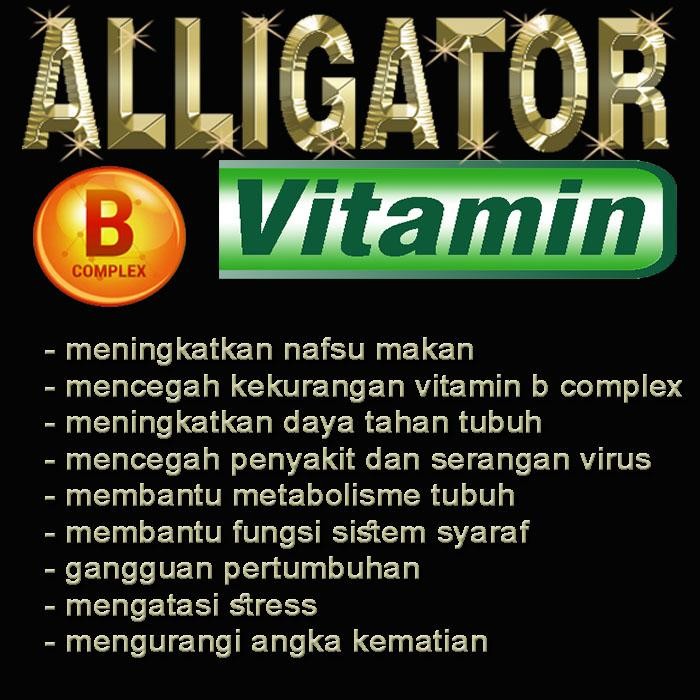 Alligator Vitamin Cair Liquid Suplemen Kesehatan Kura-Kura Air Aligator Snapping Turtle Ast Cst