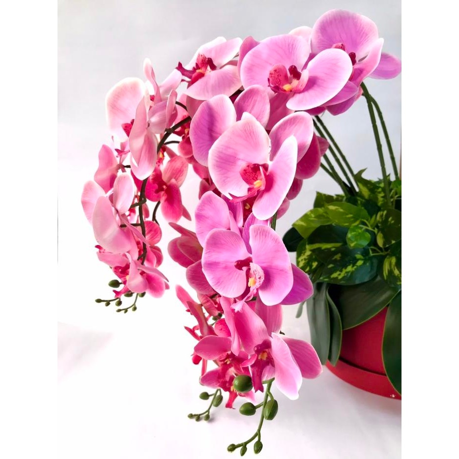 BUNGA PLASTIK LATEX ORCHID ANGGREK BULAN BESAR ARTICIAL PREMIUM DEKOR